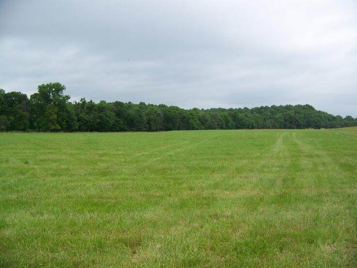 15524 County Road 615 - Photo 1