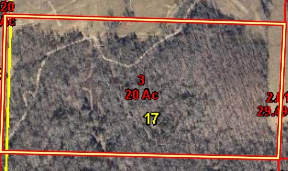 000 Tbd Walnut Ridge Road Drive - Photo 1