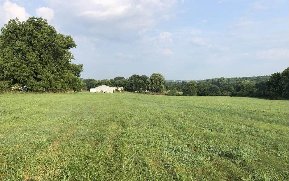 000 Farm Road 83 - Photo 1