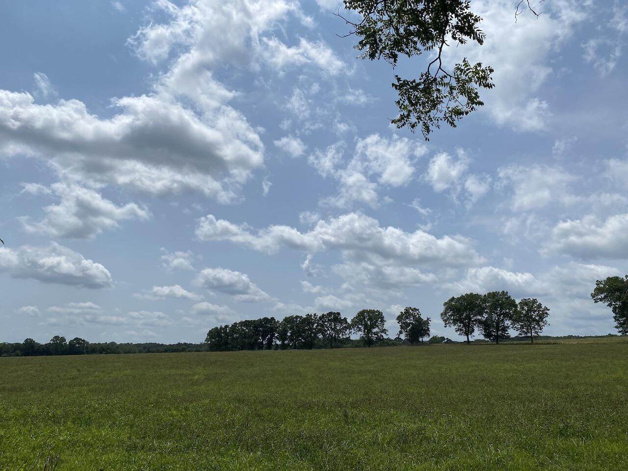 956 County Road 2470 - Photo 1