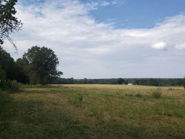 3756 Cass Road - Photo 1