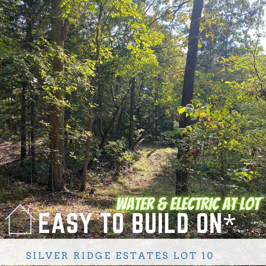 Lot #10 Tierra Trail Trail - Photo 1