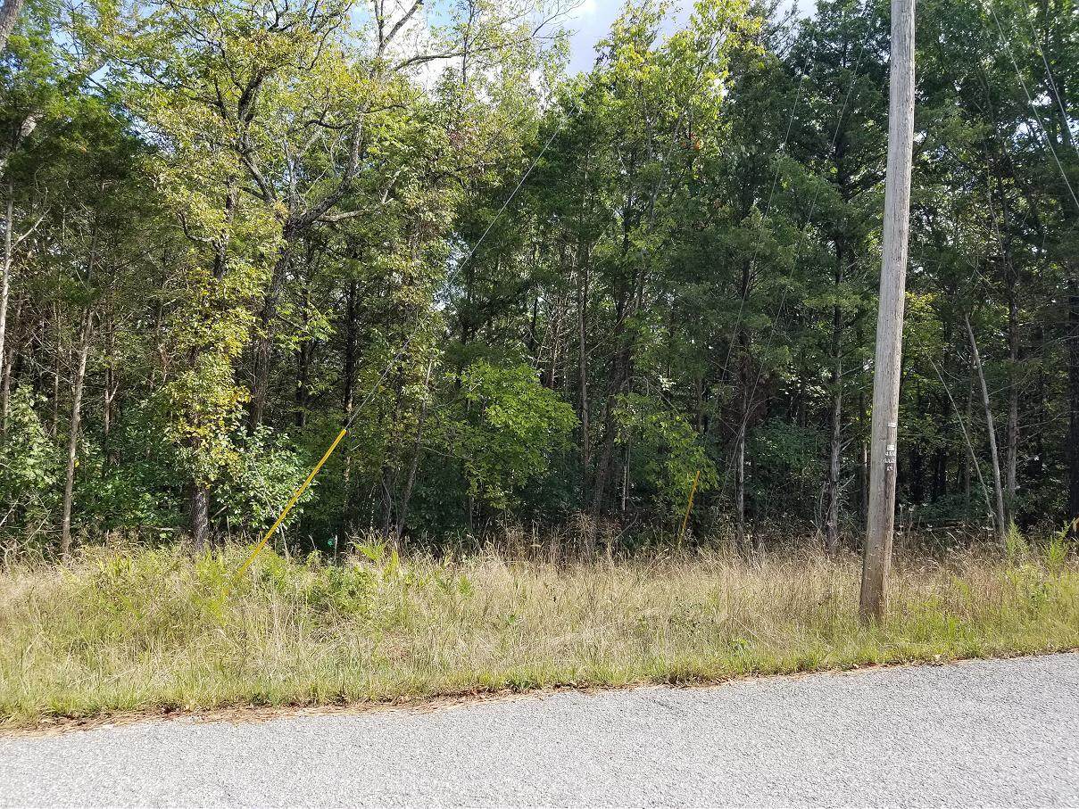 234 Goldfinch Lane - Photo 1