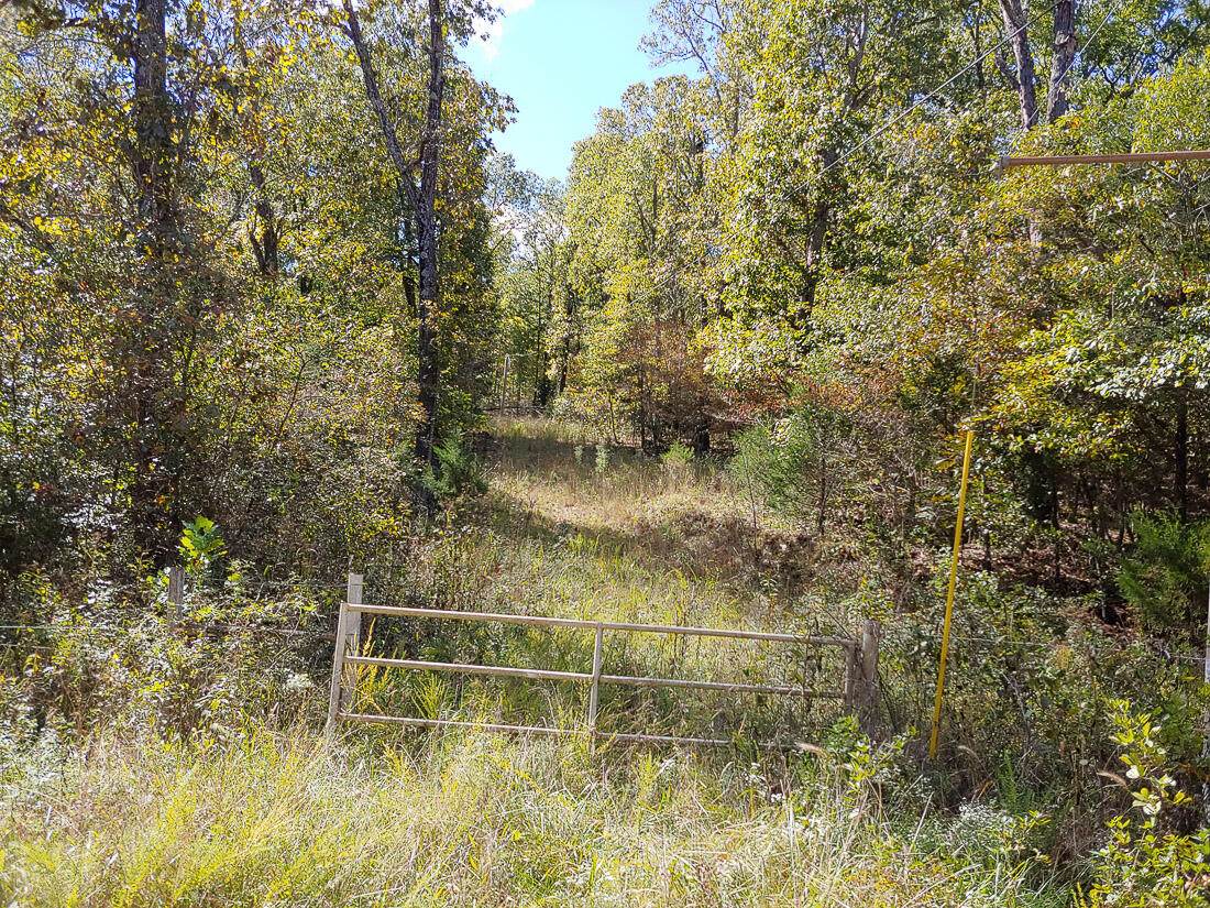 000 County Road 803A - Photo 1
