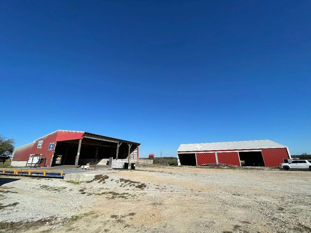 6203 Williams Road - Photo 1