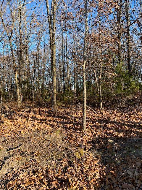175 Ferndale Drive - Photo 1