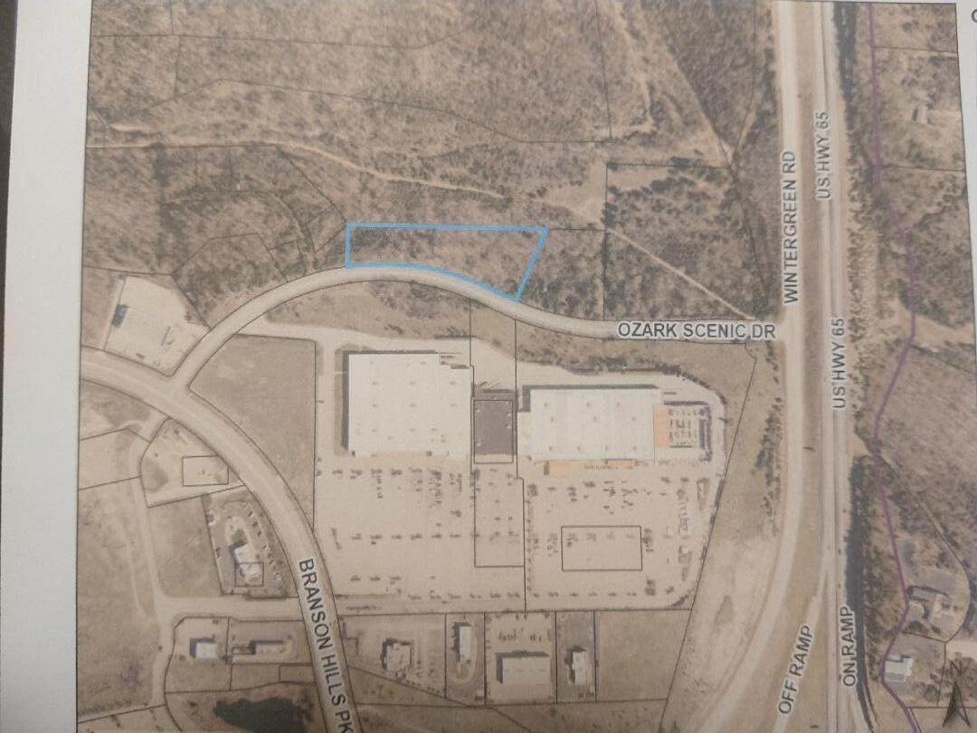 000 Ozark Scenic Dr. - Photo 1