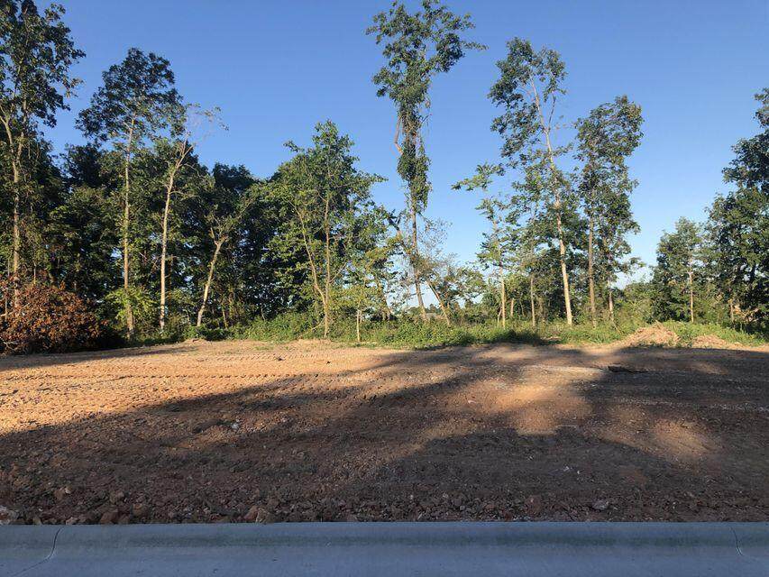 Lot 25 Dollison Avenue - Photo 1