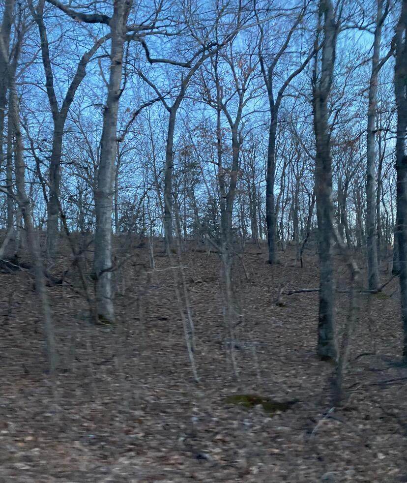 000 Lot 64 Phase Xii - Photo 1