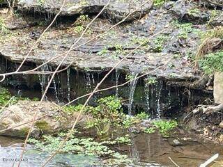 3327 Rains Road - Photo 1