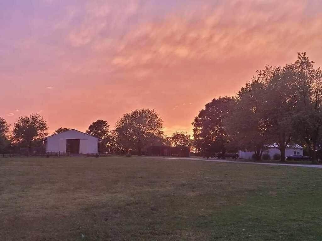 4531 132 Road - Photo 1