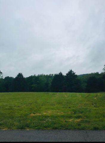 000 Seven Pines Lot 121 Drive - Photo 1