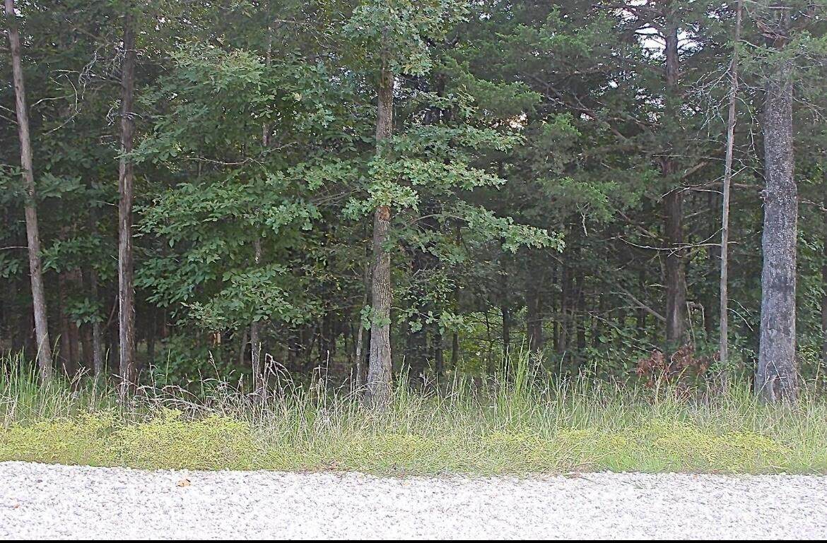 Tbd Woodbury Drive - Photo 1