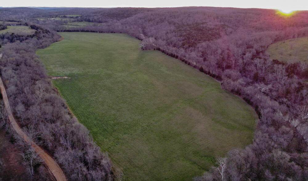37 County Rd D D-447 - Photo 1