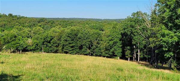 000 County Road 553 - Photo 1
