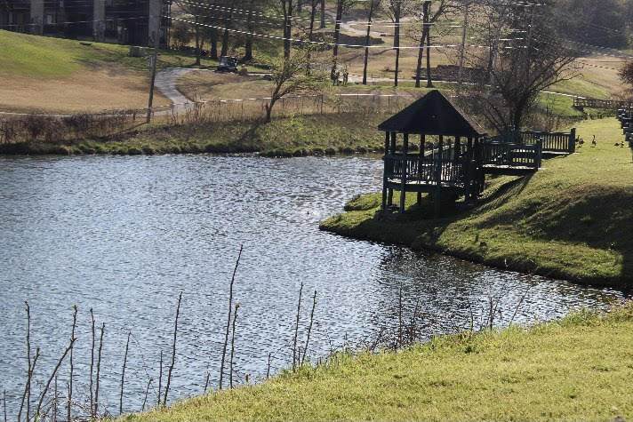 41 Scenic Court - Photo 1