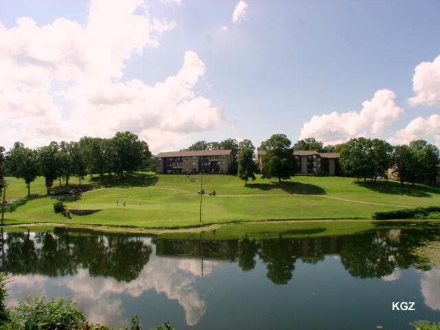 41 Scenic Court - Photo 1