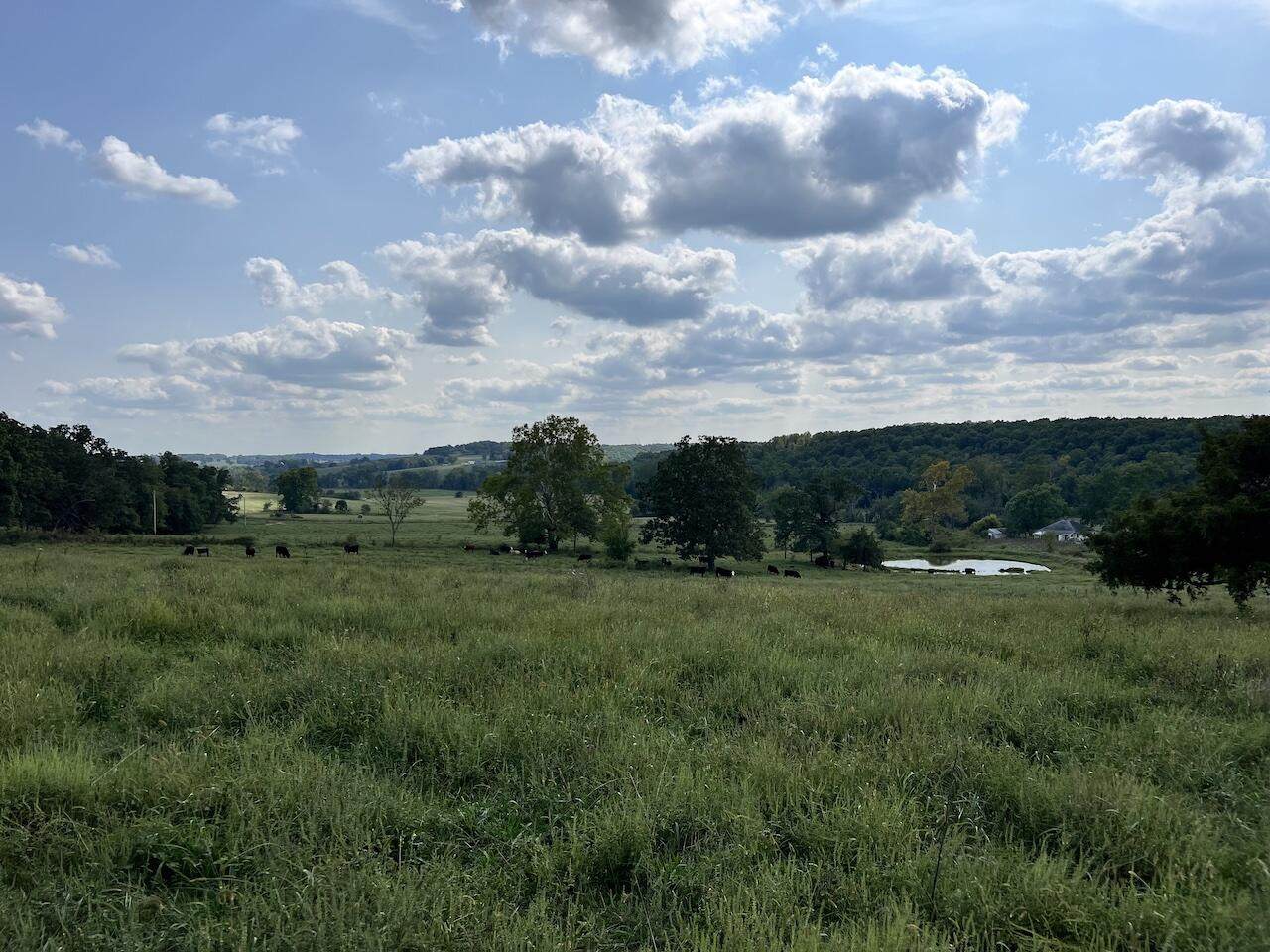 6040 Girlstown Road - Photo 1