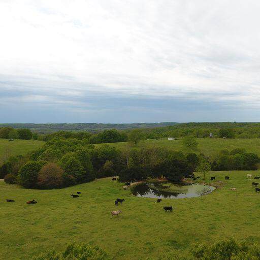 23537 Fr 2080 - Photo 1