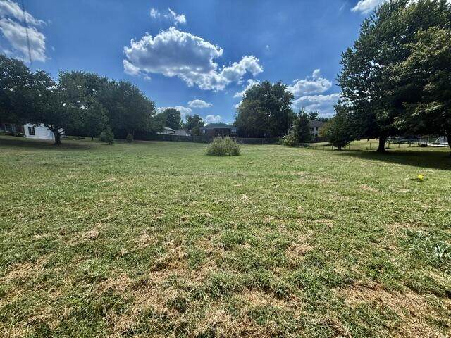 Lot 7 Strawberry Court - Photo 1