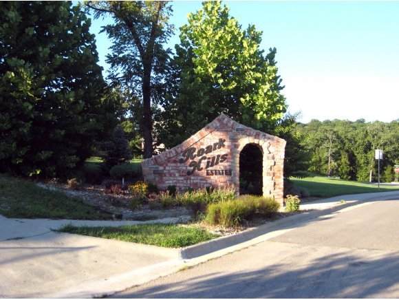 Lot 44 Roark Hills Drive - Photo 1