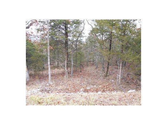 21 Appaloosa Tr - Photo 1