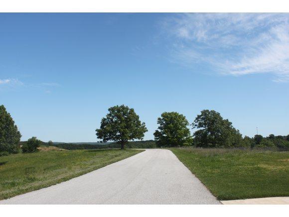 Res Lots Vista Lane - Photo 1
