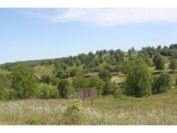 0 Lot 17 Vista Lane - Photo 1