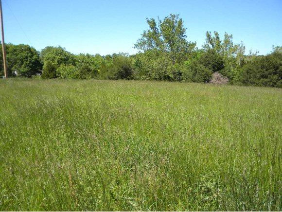 Tbd Hwy 176-Lot 9 - Photo 1