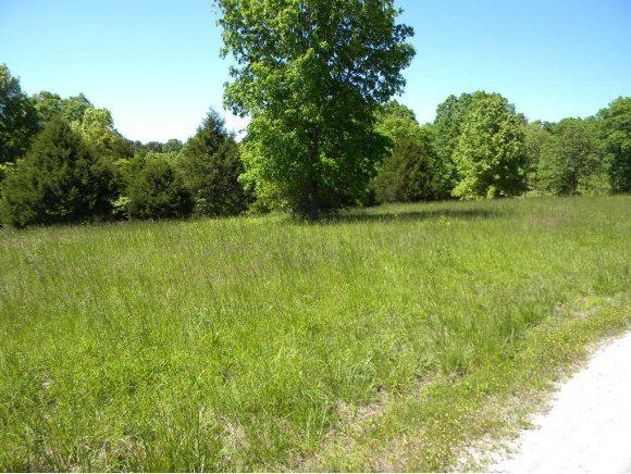 Lot 4 Hwy 176-Lot 4 - Photo 1