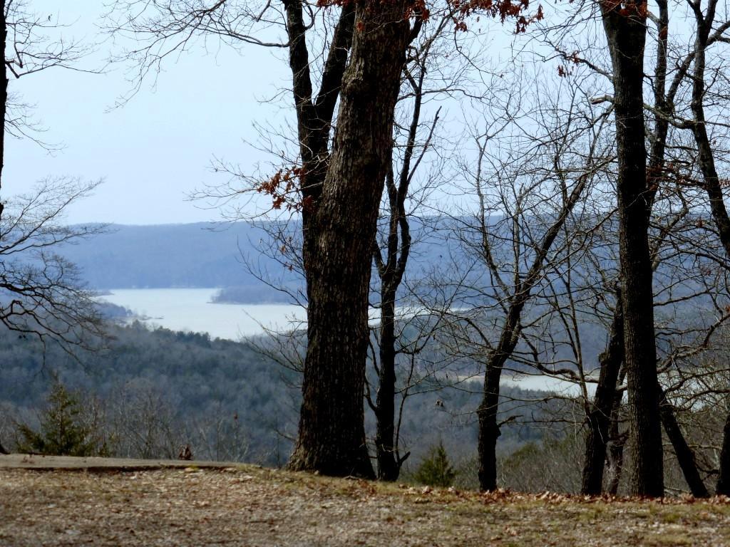 Tbd Fine Drive - Photo 1