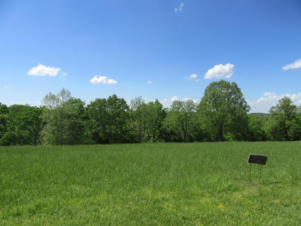 Lot 509 Forest View - Photo 1