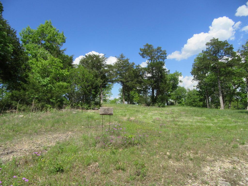 Lot 63 Mark Twain Drive - Photo 1