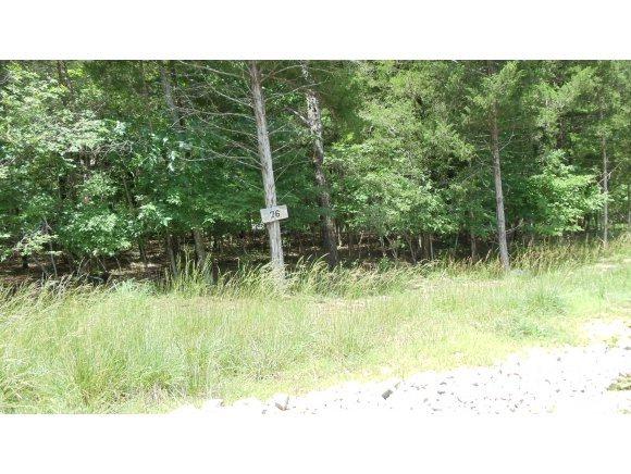 Lot 76 Twin Falls Court - Photo 1