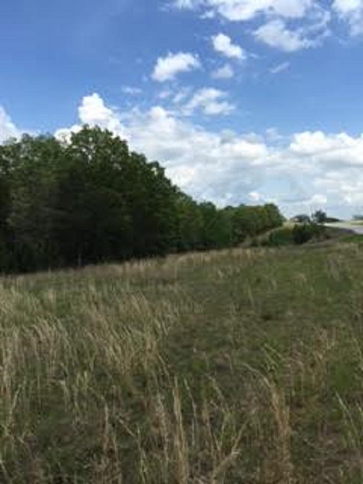 15300-5599 Us Hwy 54 - Photo 1