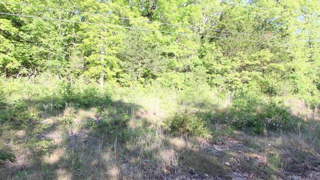 Tbd Lake Hill Road - Photo 1
