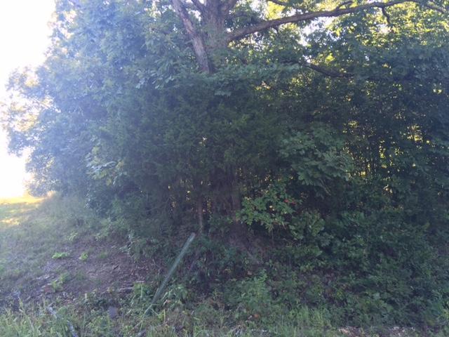 Tbd County Road 353/358 - Photo 1
