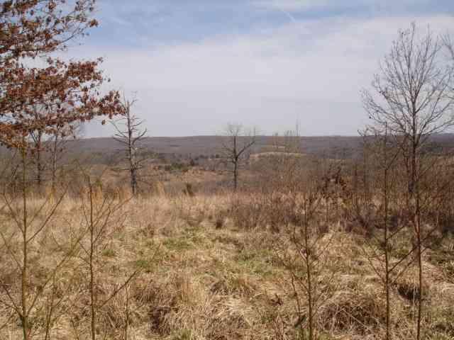 Lot 6 Enchanted Meadows - Photo 1