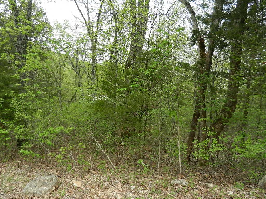 10+-Ac Pioneer Point Road - Photo 1