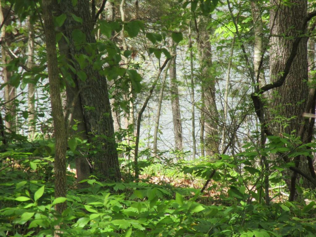 Lot 15 Fox Fire Lane - Photo 1