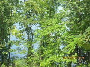 Lot 30 Eagles Bluff - Photo 1