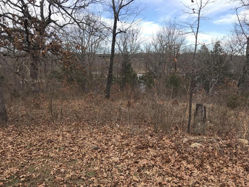 Tbd Dogwood Village Ln - Photo 1