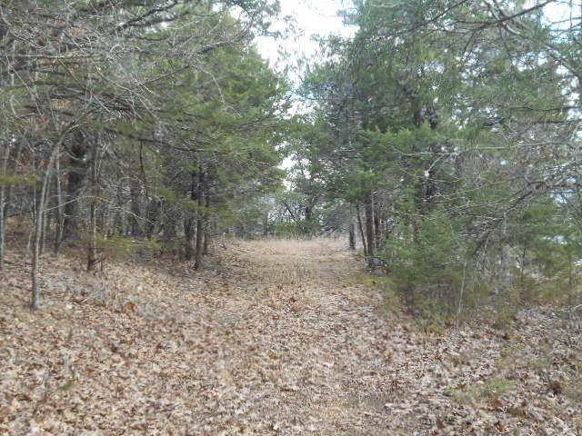 Tbd Mica Road - Photo 1