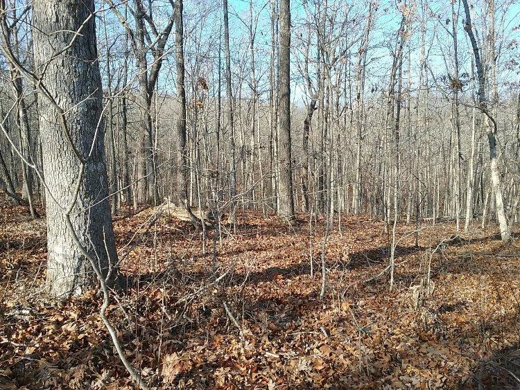 0 Private Road 1297 - Photo 1