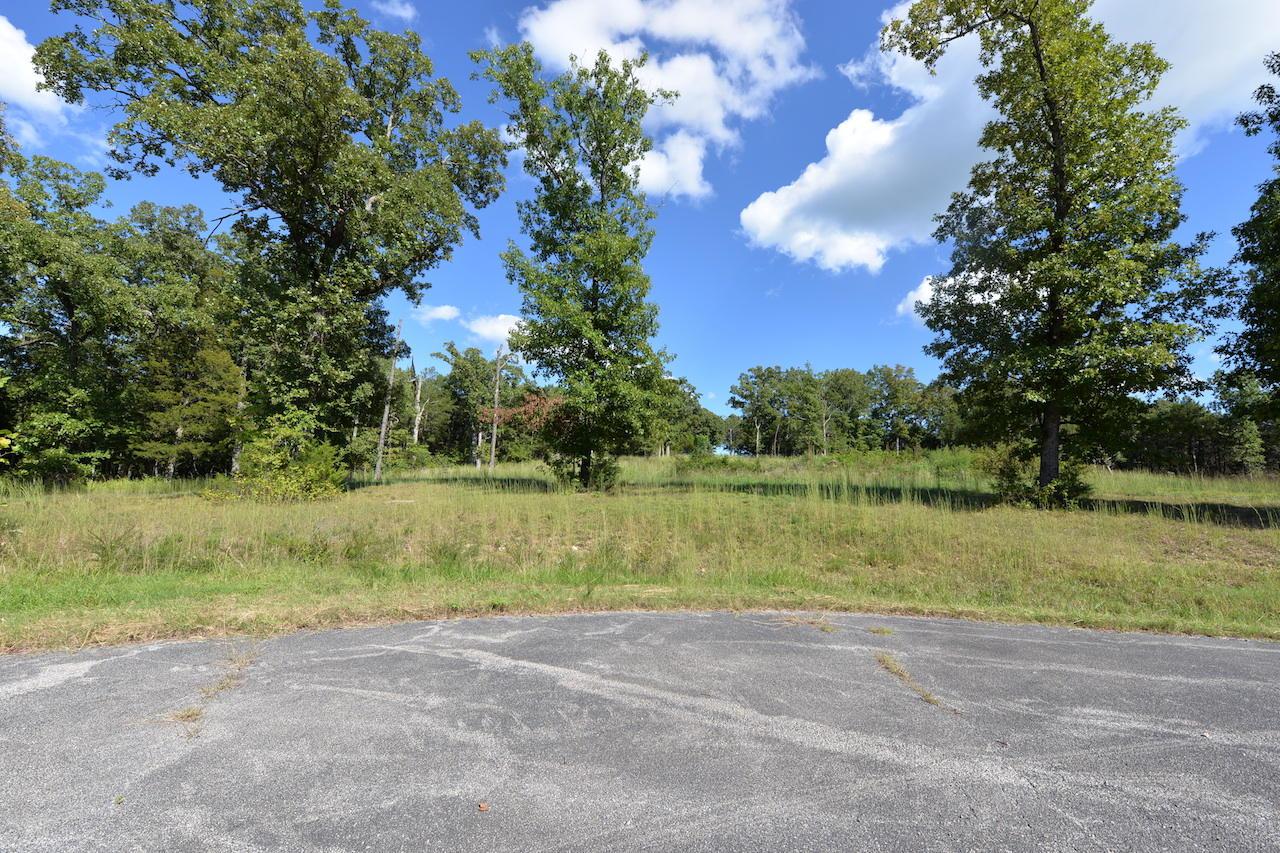 Tbd Cedar Springs Avenue - Photo 1