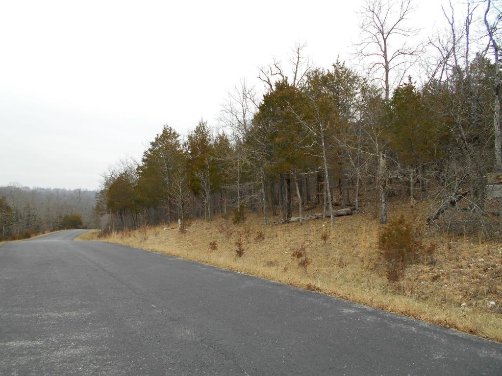 132 Appaloosa Trail - Photo 1