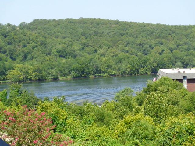 150 Sunken Forest Dr. 8-214 - Photo 1