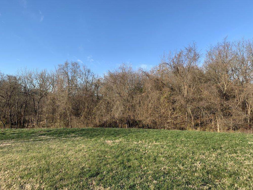 6343 Ridge Crossing Avenue - Photo 1
