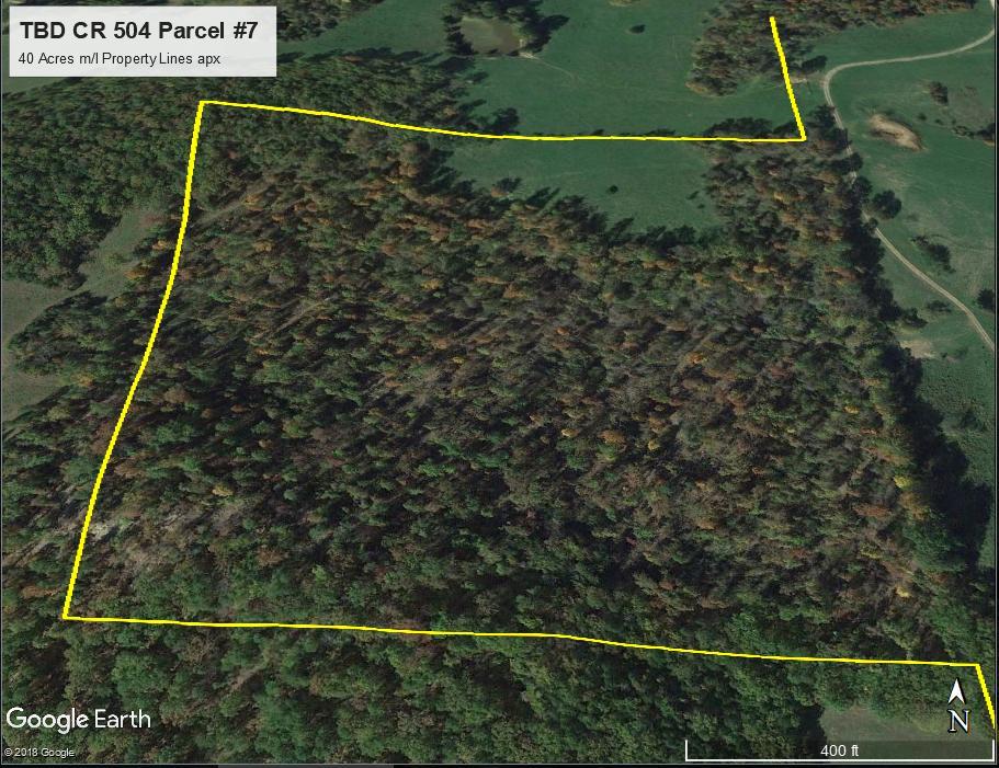 Tbd County Road 504-7 - Photo 1