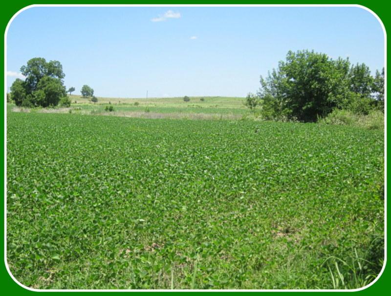 Tbd 65th Road - Photo 1